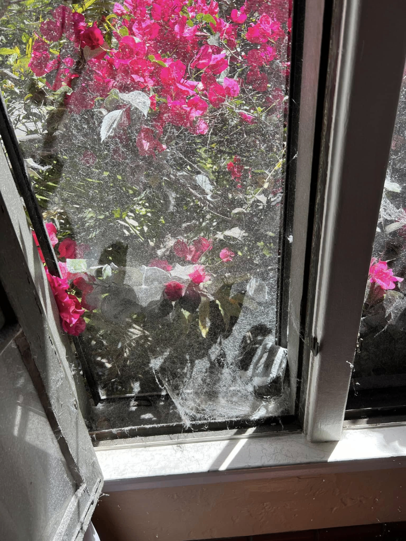 Screen + track deep clean in Garden Grove